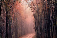 新同学下载安装途径方法