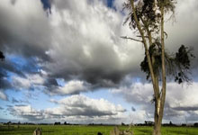 《交易认知训练》25节 完