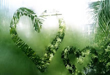 觉醒交易系统-2026 教学版