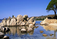 《交易心态训练第一部》52节